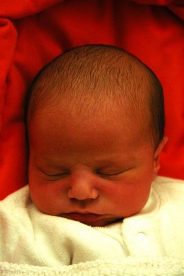 Baby Max January 2009