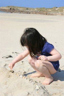 Risn decorates sand fort