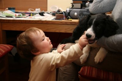 Aoibh & Daisy
