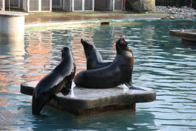 Three Seals