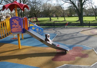 Lily Sliding