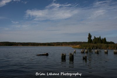 IMG_0016a.jpg