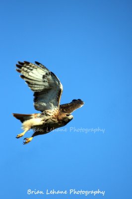 IMG_0053a.jpg