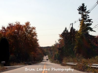 IMG_0008a.jpg