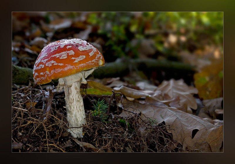 20081019_101.jpg