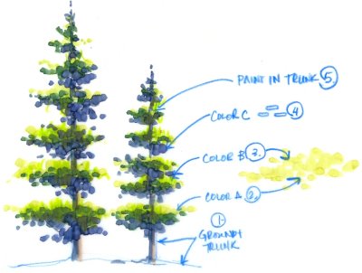 tree_tall_evergreen.jpg