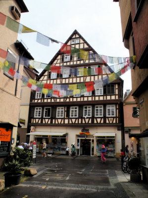 DSCN2795.JPG