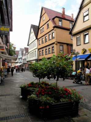 DSCN2851.JPG