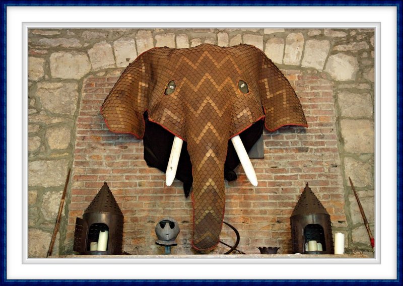 Elephant Armour