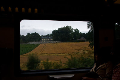 View from the train 1