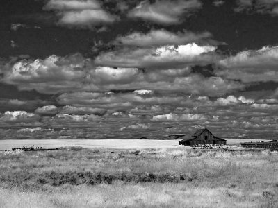 Barn