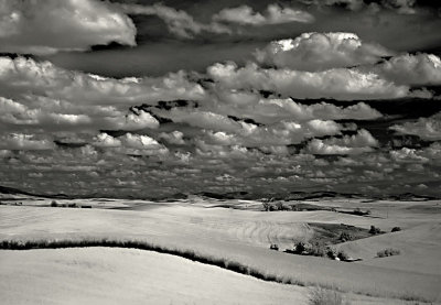 Fields 2