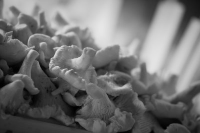 Mushrooms