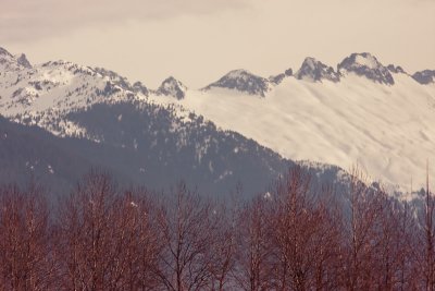 Ridge 2