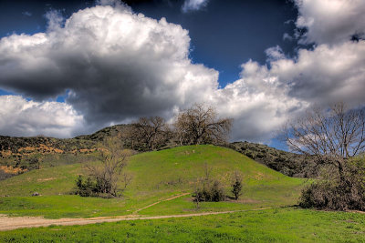 Back to the Ranch