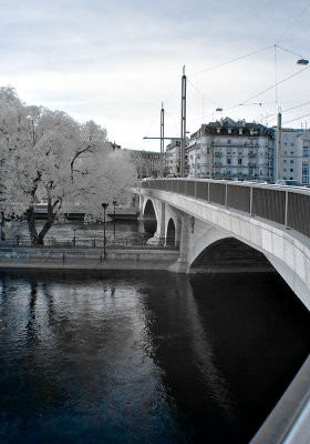 Geneva Infrared 2009