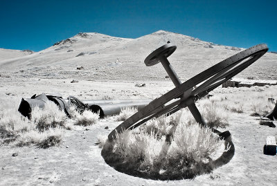 Bodie Infrared