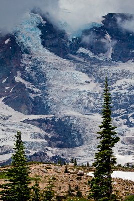 Mount Rainier NP 8