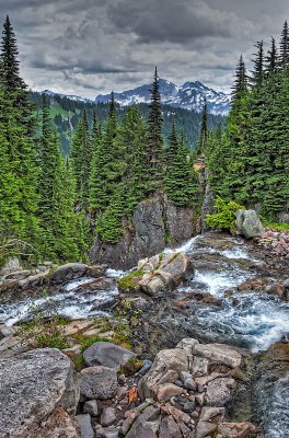 Mount Rainier NP 21