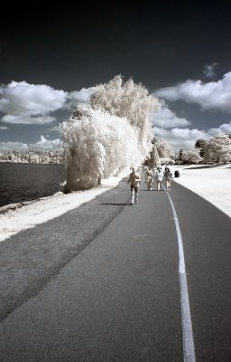 Green Lake/Woodland Park IR