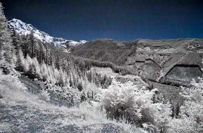 Mt. Rainier Infrared 1