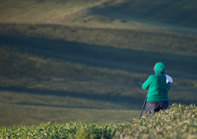 Lauren Surveys the Palouse