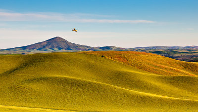 Cropduster and Steptoe Butte