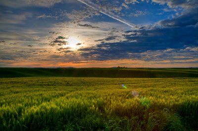 Sunrise over the Wheatfield