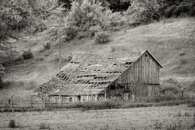 Barn Ruin