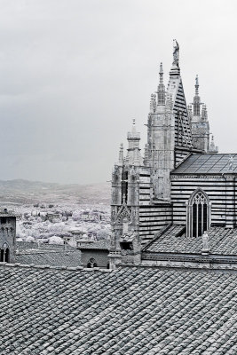 Siena 1