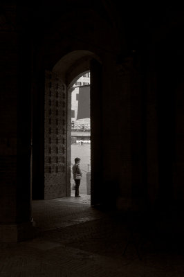 Florence and Siena IR - 2009