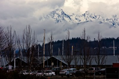 Edmonds Marsh 13