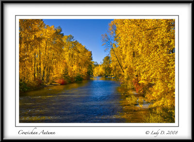 Cowichan River Autumn