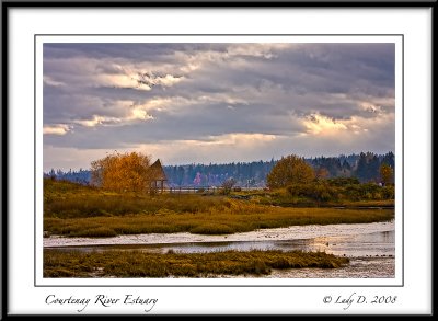 Courtenay River Estuary