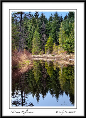 Seal Bay Pond