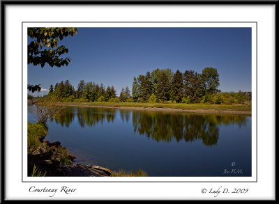 Courtenay River Reflections