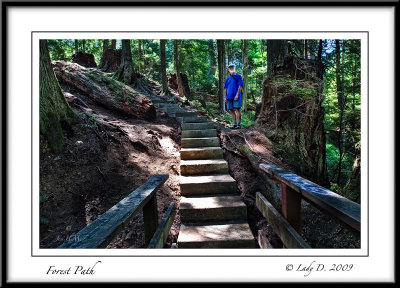 Forest Path