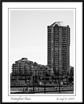 Waterfront Condo Tower