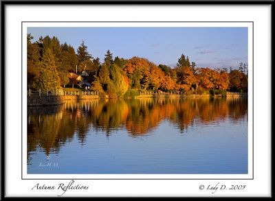 Autumn Reflections