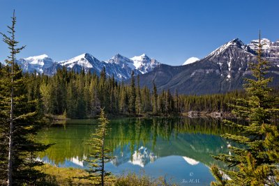 Herbert Lake  Take 2