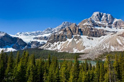 Crowfoot Glacier