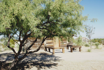 DSC00723.jpg