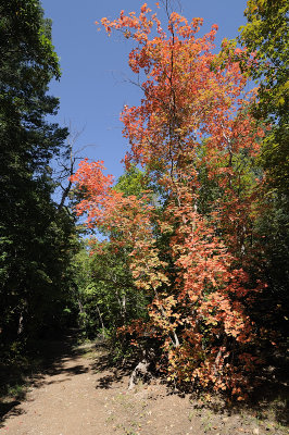 Manzano Mountains