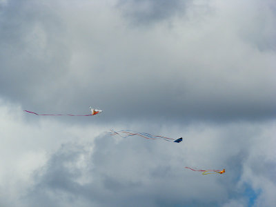 Three Kites!.jpg