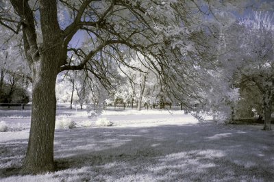 D70s Infrared