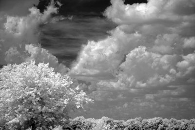 Wicked Clouds! BW
