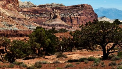 Utah Mountain