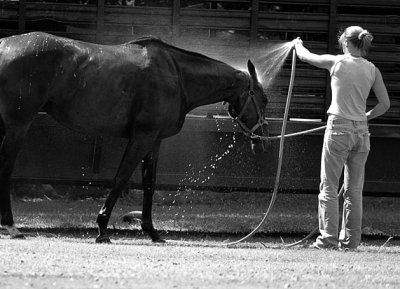 Refreshing Wash