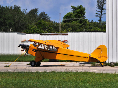 Piper J-3C-65 Cub ( N44778 )