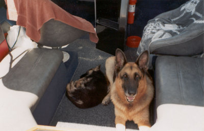 Rocky & Jake in boat